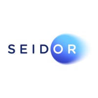 SEIDOR · Consultora tecnológica, B2B logo